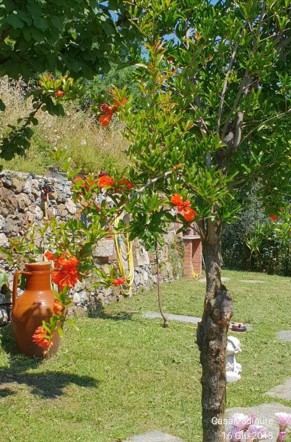 Ca' Olivella Villa Casarza Ligure Luaran gambar