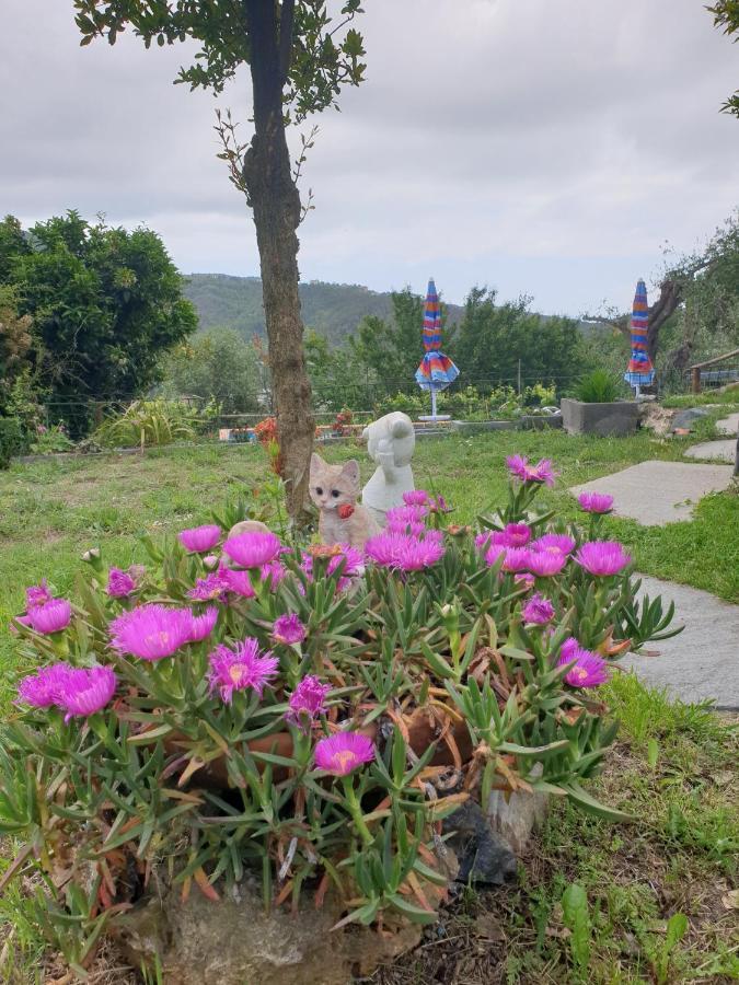 Ca' Olivella Villa Casarza Ligure Luaran gambar