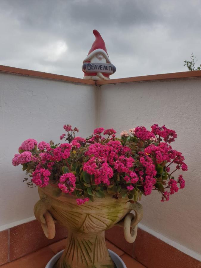 Ca' Olivella Villa Casarza Ligure Luaran gambar